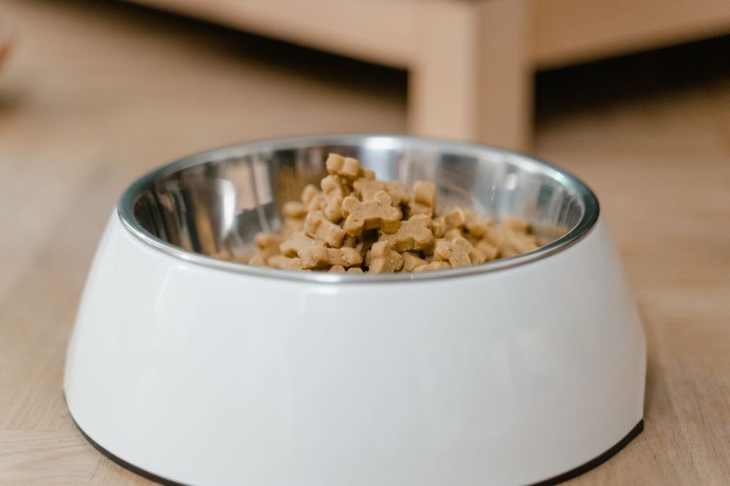 A feeding bowl containing dog food on a wooden floor